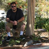 David Wiederschall's Profile on Staff Me Up